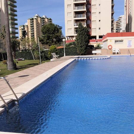 Don Ximo Gandia - Alquiler Solo Familias Lejlighed Playa de Gandia Eksteriør billede